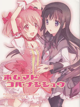 [usdf789个人汉化](C84) [CITRON (山田あこ)] ホムマド コバナシシュウ