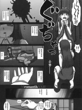 [NLS汉化组](C83) [Studio30NEKO (ふくのつくりべ)] MromantikXXII_08