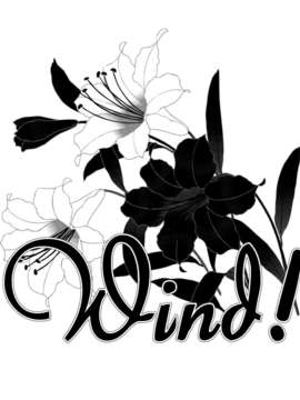 [CE家族社](C84) [百壱式 (椋木野一式)] Wind! (とある科学の超電磁砲)_CE_351_004