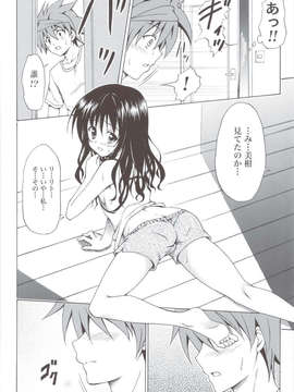 (C83) (同人誌) [虎マシーン (春日部太郎)] 禁断の美紺 ～総集編+～ (ToLOVEる)_scan0011