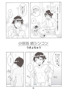 (C83) (同人誌) [篠原重工営業部 (榛名まお, むさしや, 暁, うきょちゅう)] NISEKOiX (ニセコイ)_scan0030