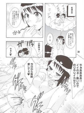 (C83) (同人誌) [篠原重工営業部 (榛名まお, むさしや, 暁, うきょちゅう)] NISEKOiX (ニセコイ)_scan0037