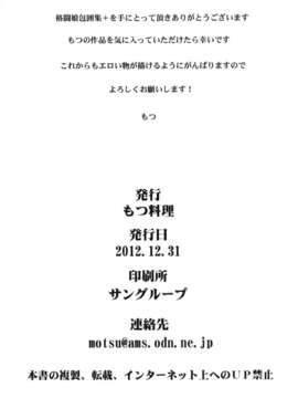 (C83) (同人誌) [もつ料理 (もつ)] 格闘娘包囲集＋ (Street Fighter) [DL版]__073
