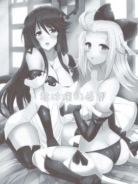 (C83) (同人誌) [妖滅堂 (ヤサカニ-アン)] 君は僕の希望 +ペーパー (ブレイブリーデフォルト)_scan0002