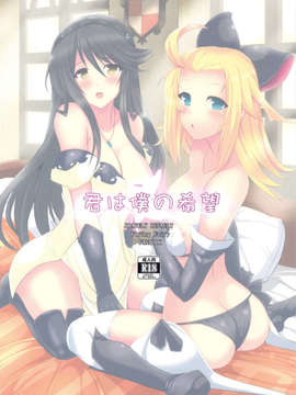 (C83) (同人誌) [妖滅堂 (ヤサカニ-アン)] 君は僕の希望 +ペーパー (ブレイブリーデフォルト)_scan0034