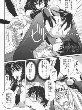 (C84) [CAZA MAYOR (つつみあかり)] is インセスト_ストラテジー4 (インフィニット_ストラトス)_07_Scan_130915_0007