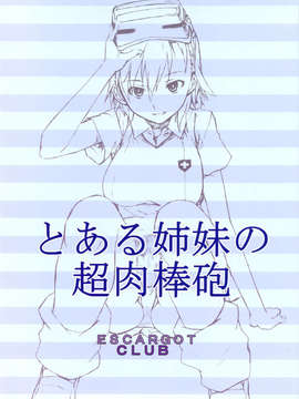 (C84) [えすかるご倶楽部(十羽織ましゅまろ)] とある姉妹の超肉棒砲 (とある科学の超電磁砲)_18_futanarihou_20