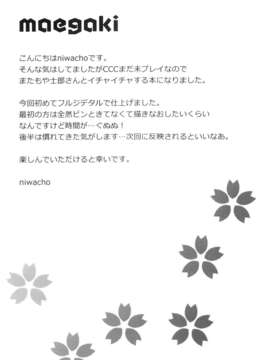 (C84) [TRIP SPIDER (niwacho)] cado2 (Fate stay night)_03_cado2_004
