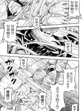 [空気系☆漢化] (C85) [Yokohama Junky (魔狩十織)] ペアハンターの生態vol.1 (モンスターハンター)_023