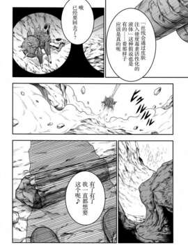 [空気系☆漢化] (C85) [Yokohama Junky (魔狩十織)] ペアハンターの生態vol.1 (モンスターハンター)_028