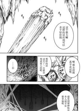 [空気系☆漢化] (C85) [Yokohama Junky (魔狩十織)] ペアハンターの生態vol.1 (モンスターハンター)_029
