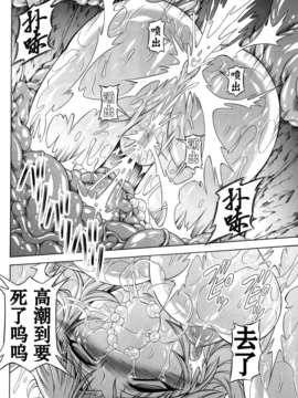 [无毒汉化组](C84) [Yokohama Junky (魔狩十織)] ソロハンターの生態 4 The second part (モンスターハンター)_49_img049