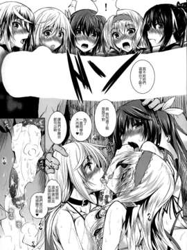 【CE家族社】(C85) [赤兎(復八磨直兎)] ISHR (インフィニット?ストラトス)_CE_398_003
