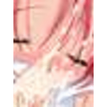 (同人CG集) [さくらぷりん] コモンナイト -先生と秘密の夜会話-(サモンナイト)_ga_5-b-3
