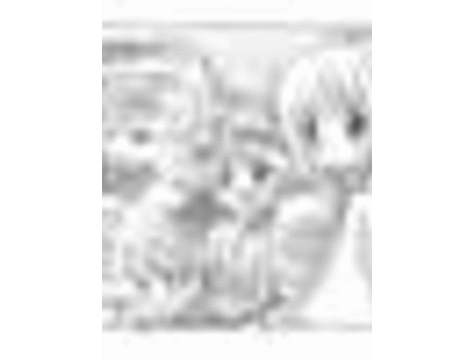 (同人CG) [ごとP] みずきちゃんくらぶ Vol.13_
