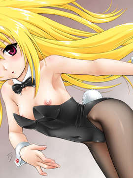 (C75) (同人CG集) [STUDIO IMPLANT] 金色夜叉(KONJIKIYASHA)(元idx to iso)_FSKYW05