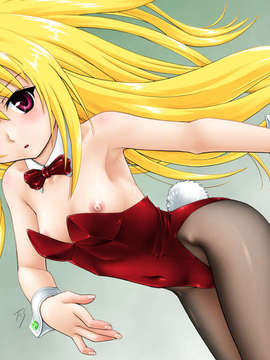 (C75) (同人CG集) [STUDIO IMPLANT] 金色夜叉(KONJIKIYASHA)(元idx to iso)_FSKYW05B