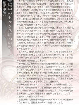 (同人CG集) [光華猟兵] PrelfIllust No.4.0_ah_il_4_c_s4_950x1350