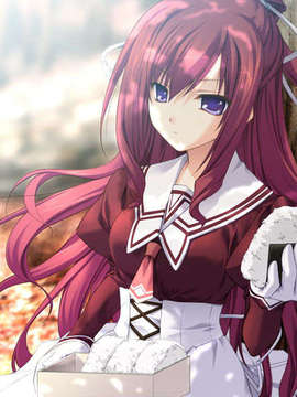 (18禁ゲームCG) [080425]11eyes~罪と罰と贖いの少女~_ev_mi07a