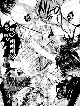 [脸肿汉化组](C85)[赤兎(復八磨直兎)] ISHR (インフィニット?ストラトス)_21