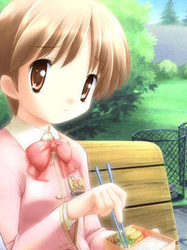 [Game CG][F&C·FC01][☆画野朗,魚,ぽん酢,植田亮]Canvas DVD～セピア色のモチーフ～_canvas_dvd085