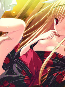 [090529]ステルラエクエス　コーデックス　～黄昏の姫騎士～_552