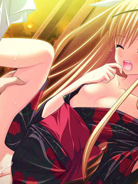 [090529]ステルラエクエス　コーデックス　～黄昏の姫騎士～_556