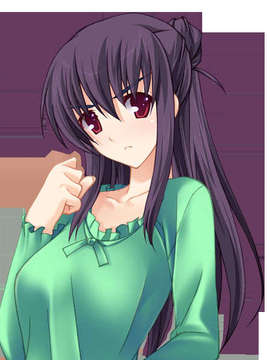 [20071123]あねあね～許して！お姉ちゃんたち、ボクのおち○ち○んダメになっちゃう！～_st_hika_a003c