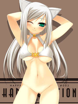 (同人CG集)[HAPPY CORE] HAPPY EMOTION(ラグナロクオンライン)_01_03