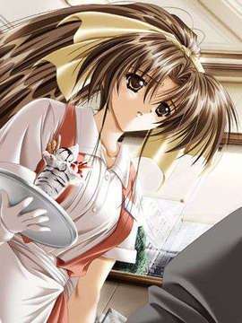 [011122][Riddle Soft] Virgin Bride～堕ちた花嫁～