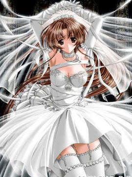 [011122][Riddle Soft] Virgin Bride～堕ちた花嫁～_c8340package