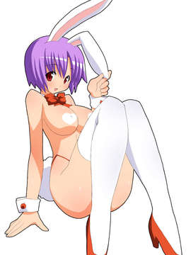 (同人CG集)[ししまるけんや]MAX-MIXvol4_bunny01a