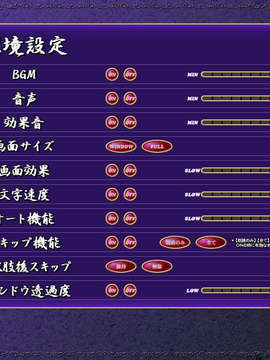 [20071109][riddle soft]秘めゴト_config