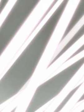 [060224] マブラヴ オルタネイティヴ_51b68417