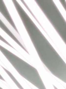 [060224] マブラヴ オルタネイティヴ_51ba3dee