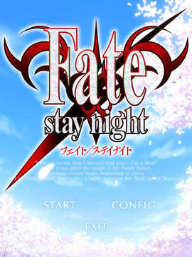 [040120]Fate stay night_CG100%_snap0600