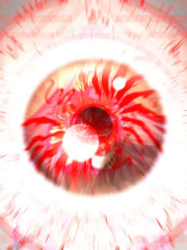 [040120]Fate stay night_CG100%_snap1112