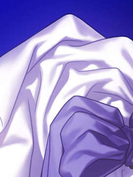 [040120]Fate stay night_CG100%_snap1292