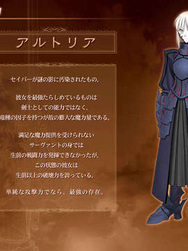 [040120]Fate stay night_CG100%_snap1664