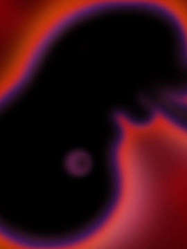 [040120]Fate stay night_CG100%_snap3899