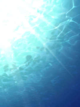 [040120]Fate stay night_CG100%_snap3927
