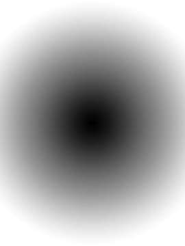 [071026]僕がサダメ 君には翼を_perfectcircle