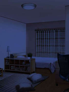 [080125]FORTUNE ARTERIAL_bg_1084