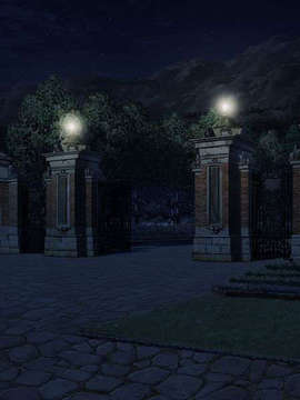 [080125]FORTUNE ARTERIAL_bg_2013