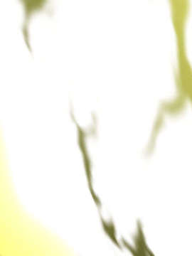 [051028]Fate hollow ataraxia_CG100%_snap2345