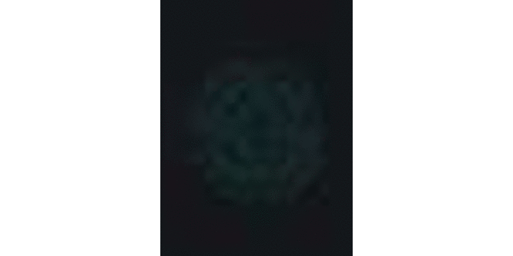(C73) [SHRINE(人丸)] 幻想生物図鑑 5(業) [幻想生物图鉴吧X漫之学园吧联合汉化制作]_tip_tatoo