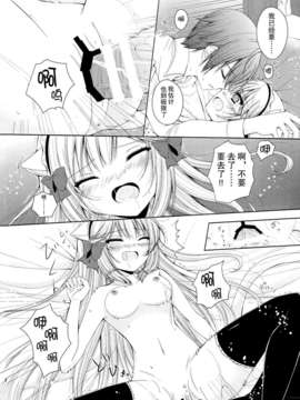 (C85)[ChromaticClip(AKI)]フィスの恋模様_IMG_0023