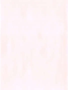 【狼娘汉化组】[前島龍]LLOLL -Little Lips of Lovely Lolita- メロンブックス_004_004