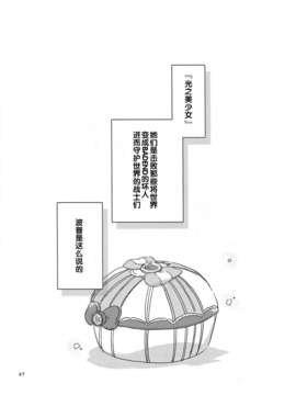 [汉化](レイフレ8)[にらたま(せきはら)]あたしたちの歩く道(スマイルプリキュア!)_imge_047