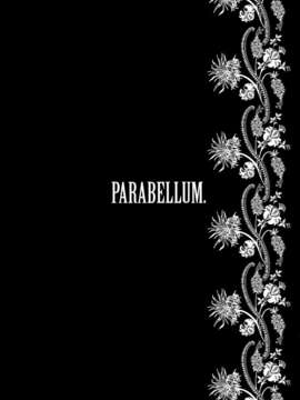 (C77) [BUFFALOW PROPAGANDA.] PARABELLUM (オリジナル) [oxt04389漢化]_para_04